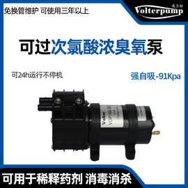 微型养殖计量泵 次氯酸溶液臭氧水医疗加药高压消杀小液泵加药泵