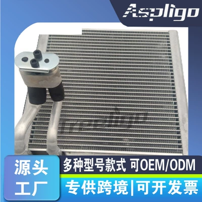 SORENTO evaporator DS665069 – Automotive air conditioning