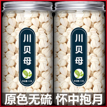 川贝母中药材正品野生四川松贝粒川贝粉250g包邮特级官方旗舰店