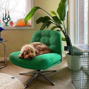 Deweylinger single chair casual balcony living room rotating sofa chair designer creative internet celebrity lazy TYmy