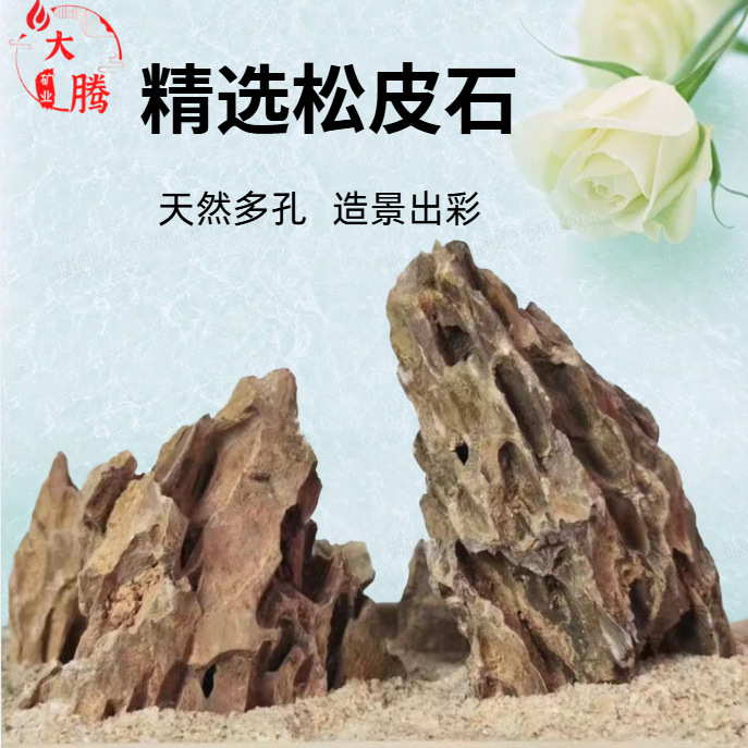 Wholesale Pine Skin Stone Aquarium Landscaping Natural Ornaments Micro Landscape Rockery Thousand-Layer Tiger Skin Dragon Bone Stone Porous Pine Skin Stone