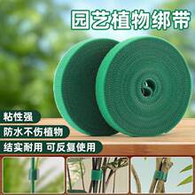 ���@����ֲ��֧������ħ�g�N�����ɼ�����ճ�������̶�����������
