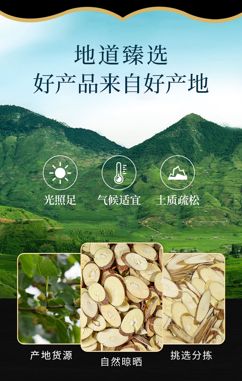 Sang Zhi Slices (Morus alba) — Dried Mulberry Twig Food Herb for Tea & Soup overview