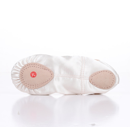 Champagne Satin Embroidered Large Floral Chinese Style Stage Performance Shoes for Adults Soft Sole Ballet Dance Shoes Cat Paw Yoga Shoes