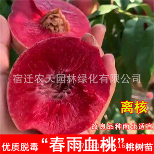 �S�Ҙ��m�Ҙ����޽��綬�ұ������������Ә��Ϸ��Nֲ�����ش���