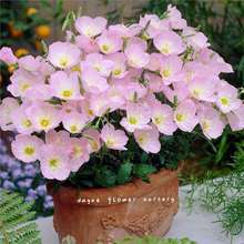 ҊݷN ҹN ۻ޸ԻܵͰͺ