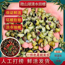 ��ˮ���ݬF؛�r�������ɳȥβ�o������·��������l���w���]