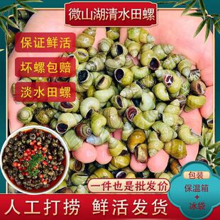 ��ˮ���ݬF؛�r�������ɳȥβ�o������·��������l���w���]