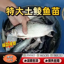 �����N�~�����N�~�����N�~���~̩�N��ˮ�~������Bֳ������~����