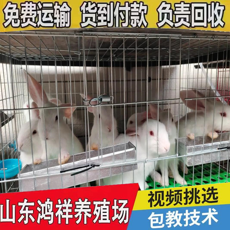 u=1726656430,2618166391&am