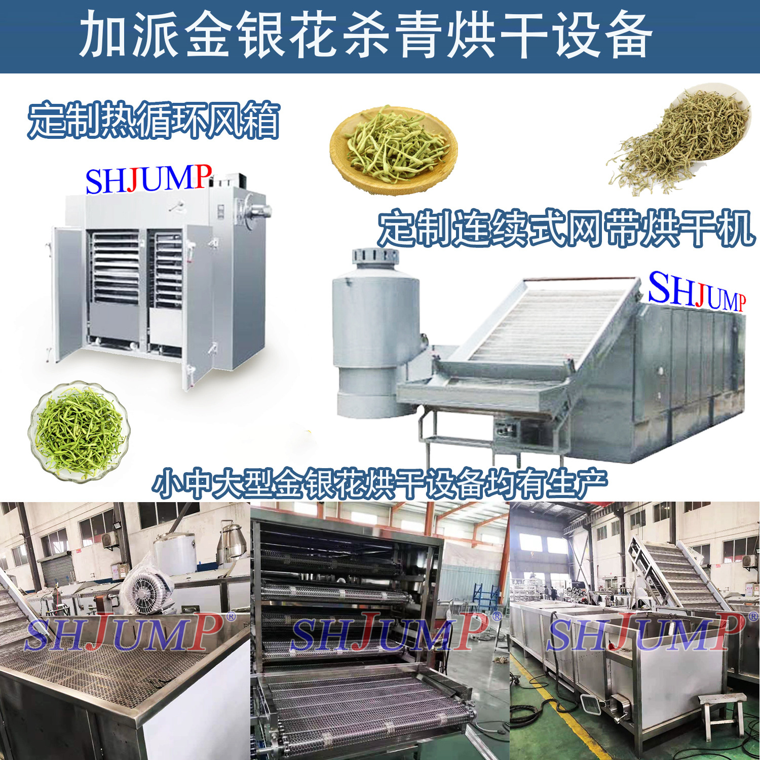 金銀花加工生產(chǎn)線2