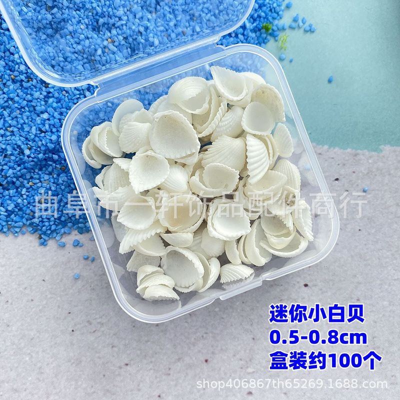 天然小さな巻貝箱入り小さなヒトデ小さな貝殻ミニ diy マイクロ風景材料装飾ミニ貝殻箱入り|undefined