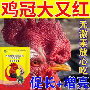 ���N�t�������u�ڼtë��ș�u��t�ڷ���ë�ĸ��L��ë�_���Ӵ����L