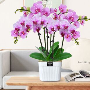 �����m���Կ͏d���ܹ����ͶY��������������������Ʒ�ļ��_��