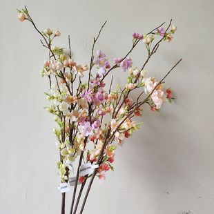 ���溣�Ļ� ����ָ�ѻ���c�Ҿ��b��쾰�� ���滨��c���û����l