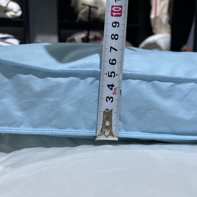 Mattress Topper鹅毛床垫 五星级酒店纯棉白色羽绒羽毛床垫舒适垫|ru