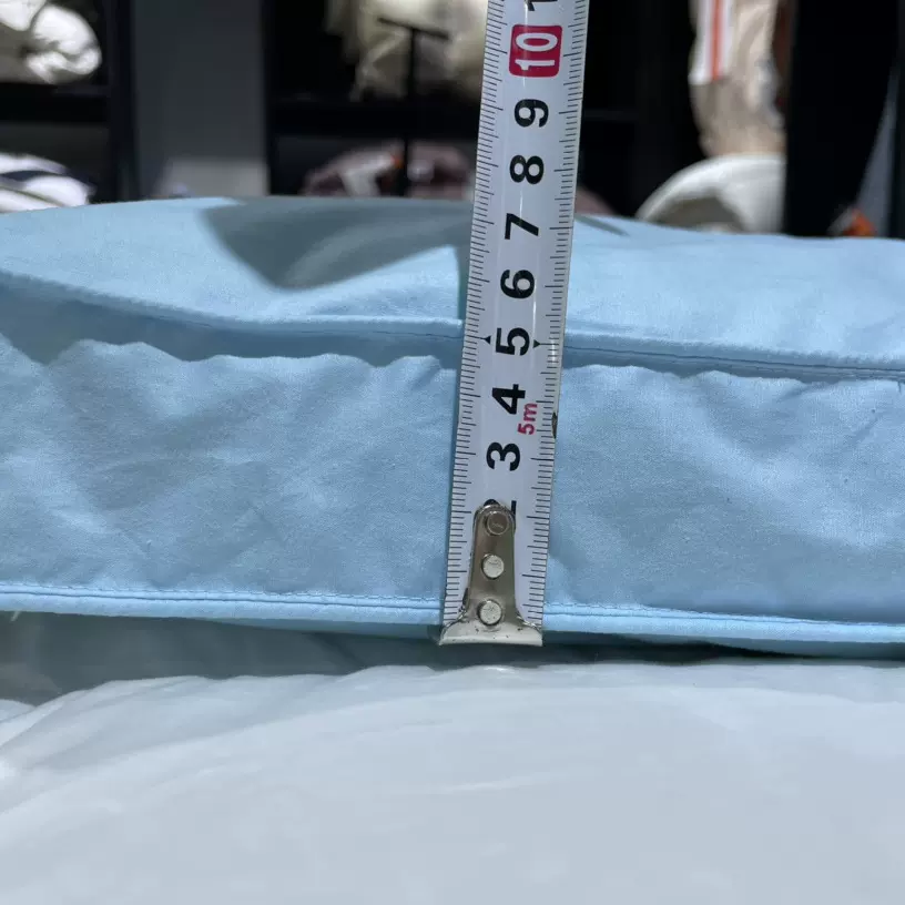 Mattress Topper鹅毛床垫 五星级酒店纯棉白色羽绒羽毛床垫舒适垫