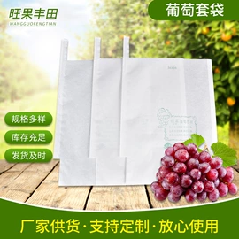 纸袋;水果套袋