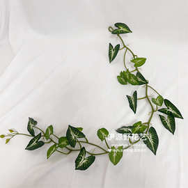仿真绿植地瓜马蹄绿萝西瓜叶壁挂工程植物墙装饰搭配藤条藤蔓配材