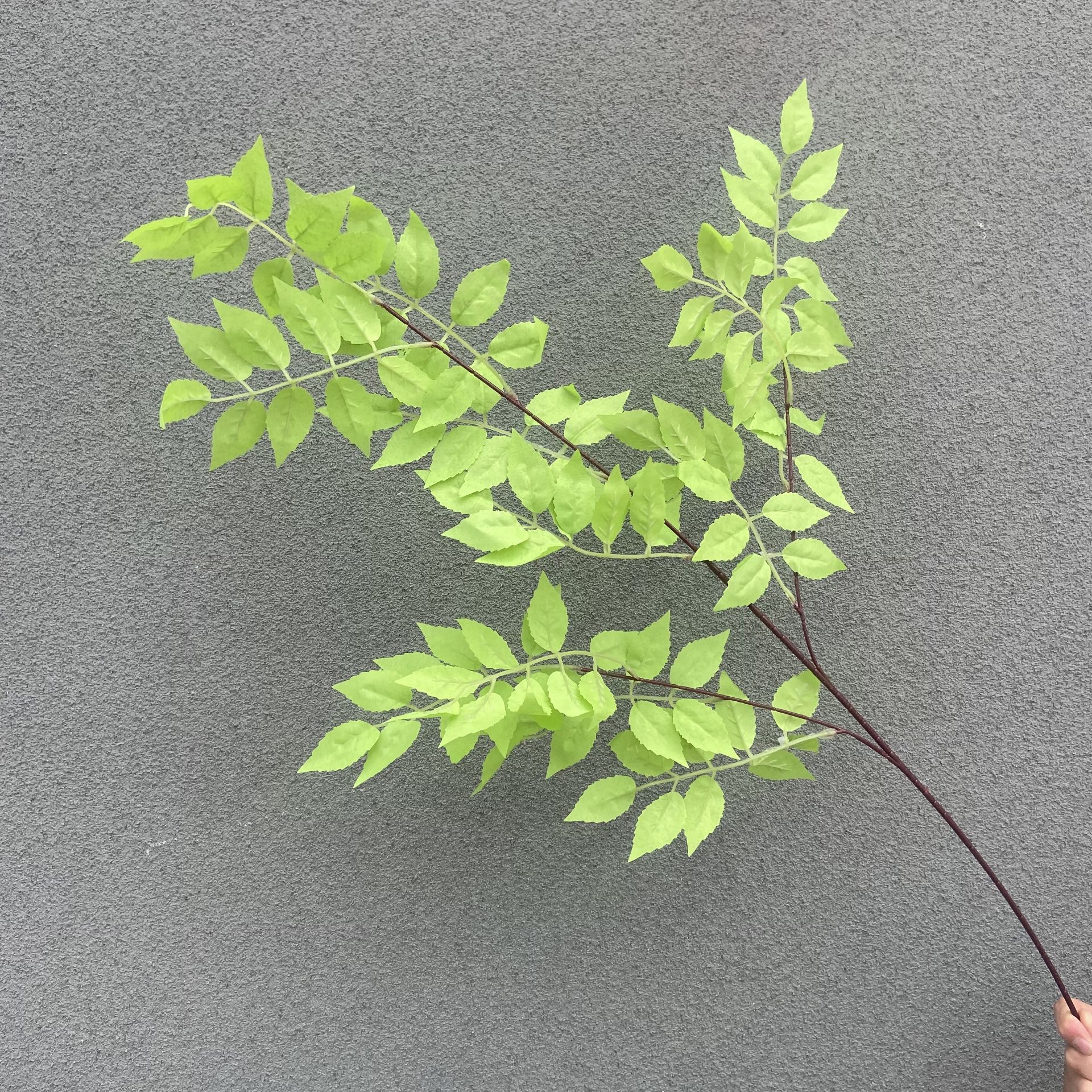 라이트 그린 아이스 하트 리프