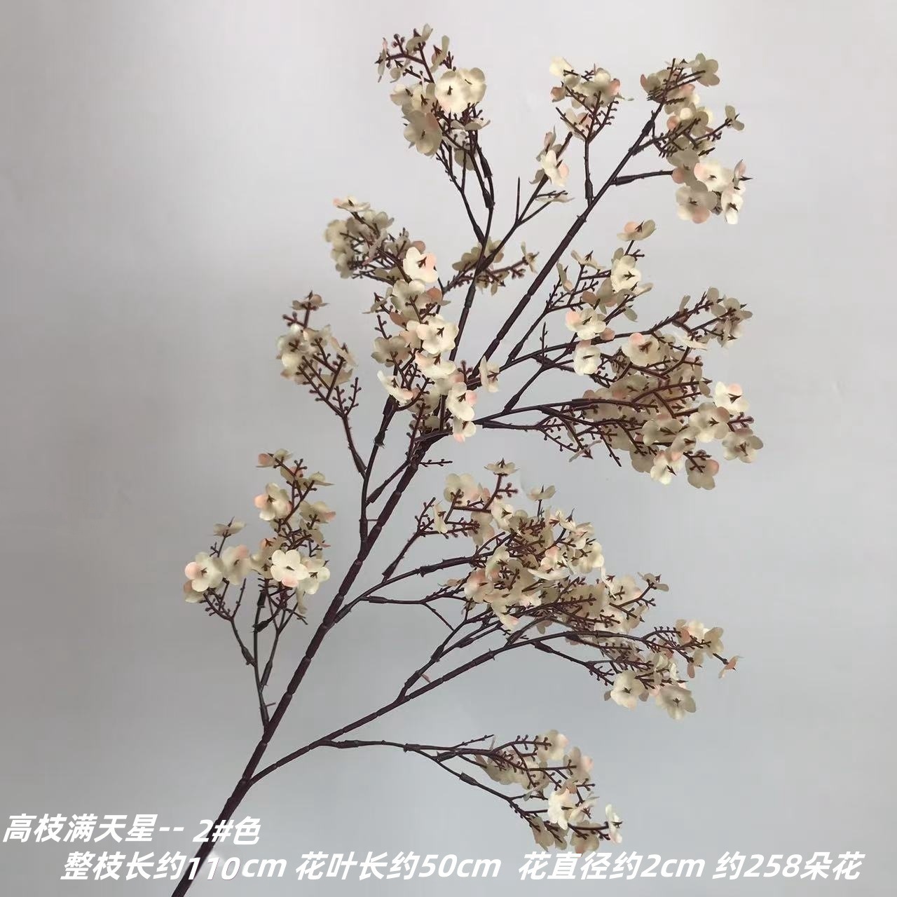 높은 가지 안개꽃 2#색깔