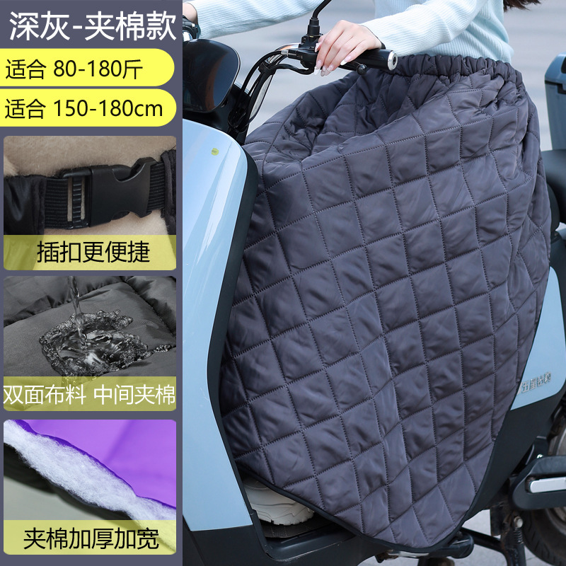 電気自動車の防風は冬に強化されました。|undefined