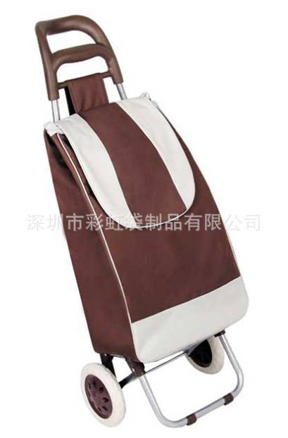 ���Ҷ���ֱ��ţͷ������˳���Я��˹��ﳵ�����������