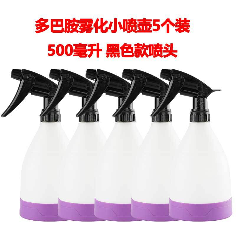 5개입 보라색 미니 분무기