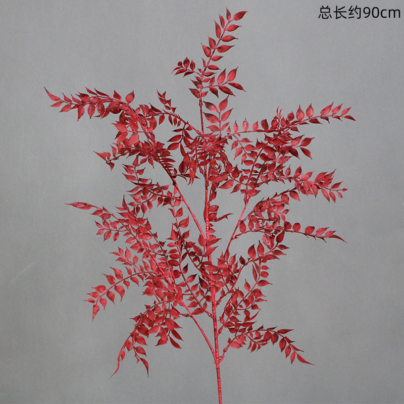 붉은 백단향 잎의 가지