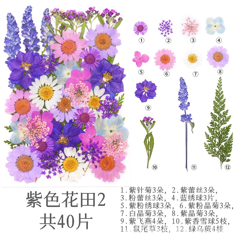 보라색 꽃밭 (40)