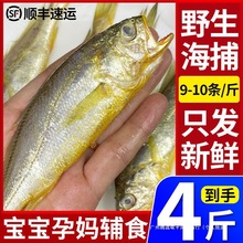 4����ɽС�S�~���r�������С�S���~�S���~�r��rˮ�a9-10�l/��