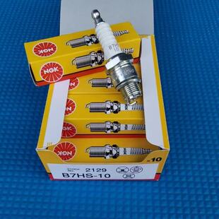 Ngk Spark Plug Yamaha Outboard Motor Yacht Spark Plug Two-Stroke Accessories New