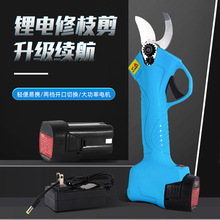 电动修枝剪电动剪刀充电式锂电池园林电剪刀果树果枝剪实体店专供