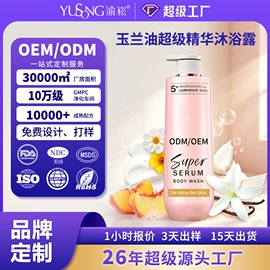 身体护理工具;其他美妆工具;洗发水