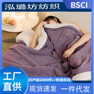 Cross-Border Supply of 2025 New Milk Velvet Cut Flower Double-Layer Blanket Nap Blanket Factory Direct Sales Dropshipping