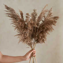 ϵ 22ٴˇJȔɻ廨