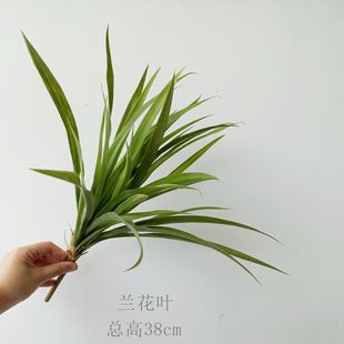 ����ֲ�ﱳ������ƺ�廨��֧�Gֲ�����~�Ӳ͏d�[�Ż��ܻ���ާ�