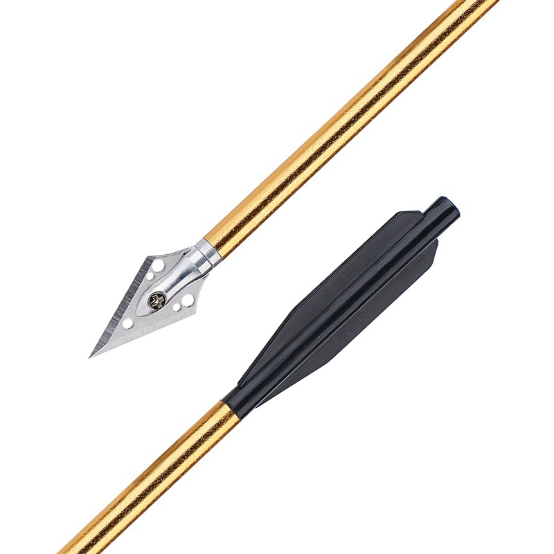 Artboard 6 copy .jpg