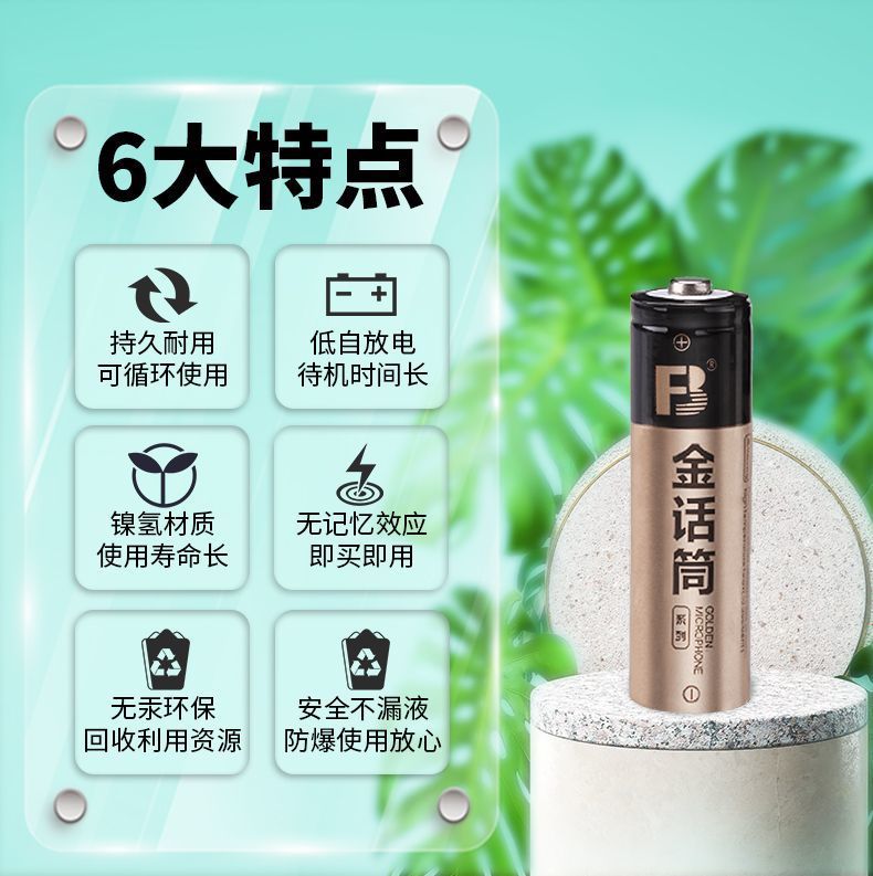 Fengbiao No. 5 Battery Rechargeable Gold Microphone 2800 Mah Nickel Metal Hydride Ktv Microphone No. 5 No. 7 High Capacity