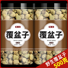 șƷٷŞҰӵĹЧͱPɣظӲ