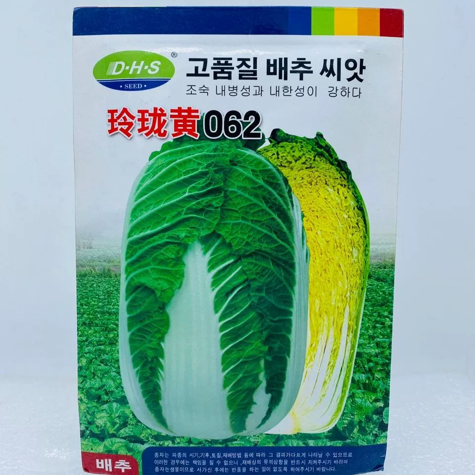 Linglong Хуан 062 Детские Семена капусты ранней зрелости, болтами сопротивления, сильное сопротивление болезням, небольшие Семена капусты можно посеять весной и осенью