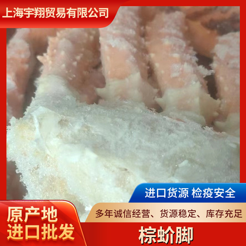 els棕蟹脚 海鲜水产品自助餐日式料理冷冻刺身肉质饱满鲜活 棕蟹