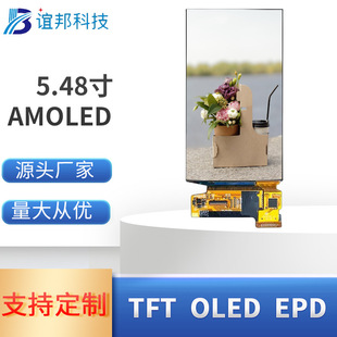 5.48inch Amoled High Resolution 1080*1920Mipi Interface with Touch Monitor Color Image Transmission Screen