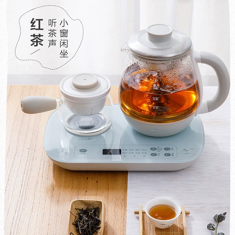 小熊 Glass set for home use, red (black) tea, teapot, fully automatic