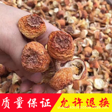 500克云南姬松茸产地直销批发短腿巴西菇精品菌菇干货蘑菇土特产