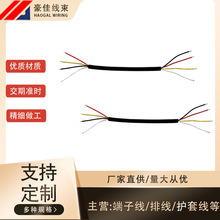 四芯2464 24AWG護套線紅黑白黃驅動電源線線徑4.0MM耐高溫現貨