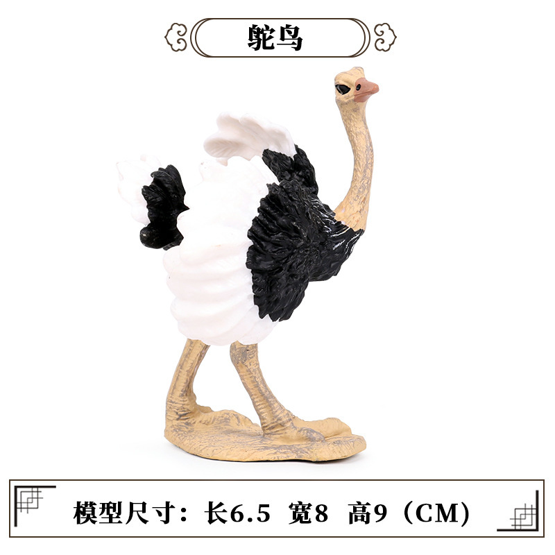 773 Ostrich【0.056KG】