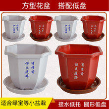 ���� ���ϻ���t��ӡ���Ř�G��С���Ի��܈@ˇ���ػ��ꄓ��