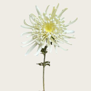 ��Ʒ�|����ܛ�z�ָ���צ���Pβ�Ք[Ҿ��b� ܛ�b��� �zӰ����