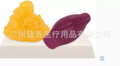 教学模型 健身房健身解说模型 1磅脂肪模型+1磅肌肉模型组合套餐